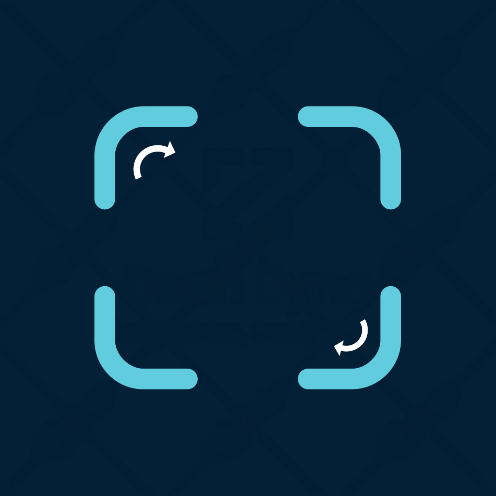 ScanSync Logo